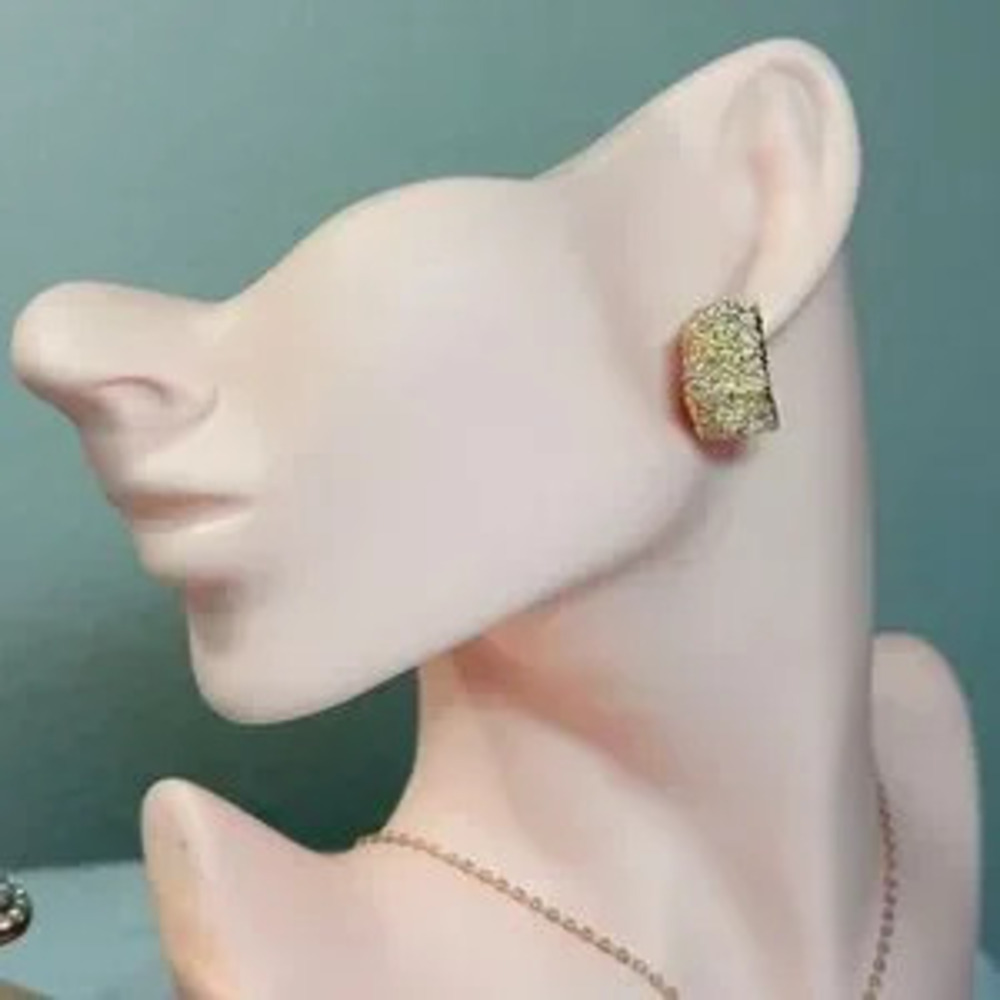 Elegant Gold and Silver Women's Earrings